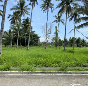 Lot For Sale In Singcang-airport, Bacolod
