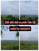 Overlooking lot only at Cebu city for sale