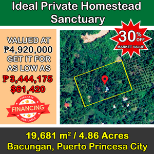 Lot For Sale In Bacungan, Puerto Princesa