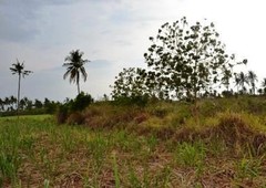Plot of land San Remigio For Sale Philippines