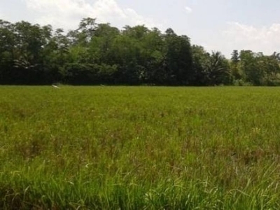 For Sale 3.3 Hectares Agricultural Land in Dingras Ilocos Norte