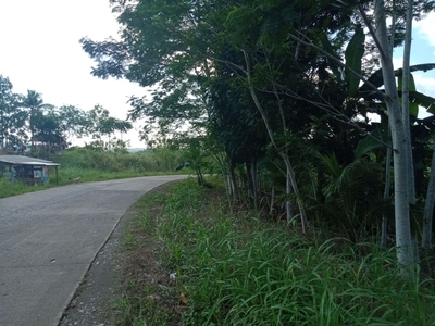 Titled Agricultural Lot for Sale in Salvacion, Butuan, Agusan del Norte