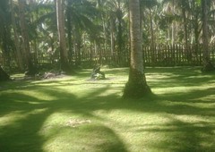 Siargao land for sale