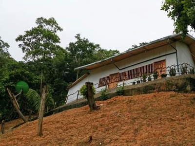 1000 sqm Hilltop land with 3 Bedroom House in El Nido Town, Masagana Poblacion