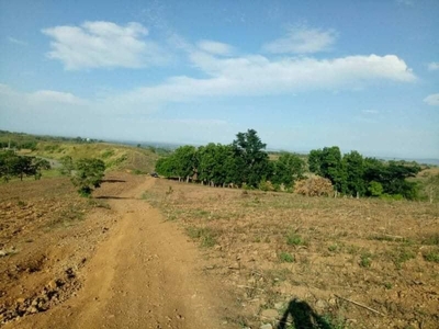 156 Hectares Agri. Lot For Sale in San Vicente, Tumauini, Isabela