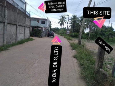 For Sale 1,684 sq. meters Residential Lot Cum Farm Lot in Alangalang, Leyte