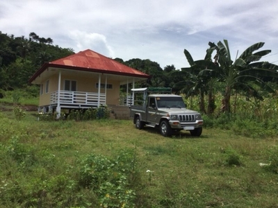 18,352 Sq M For Sale Located in Tampocon I, Ayungon City, Negros Oriental