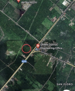 2.68 Hectares Farmland For Sale in Brgy. Tejero, San Luis City, Batangas
