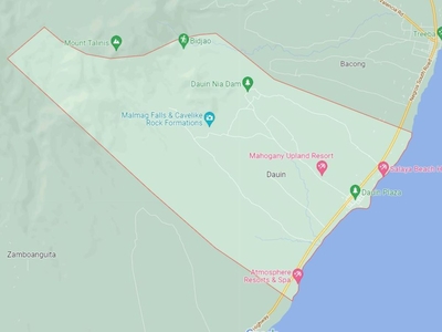8,572 sqm Farm Lot For Sale in Maayongtubig, Dauin, Negros Oriental