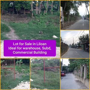 8,667 sqm Commercial Lot for Sale along Brgy Road in Liloan, Cebu