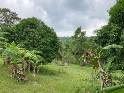 Along the National Highway Titled Farm Lot for Sale in Aloguinsan, Cebu