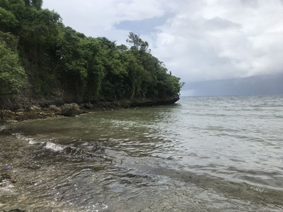 Antulang beach land for sale. 1 hectare land before tambobo bay