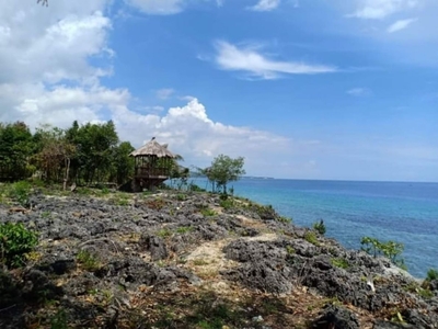 Beach lot for sale in Alcoy Cebu