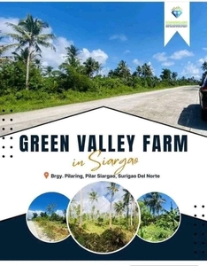 Farm Lot for Sale in Green Valley Farm, Pilar, Siargao near Beach