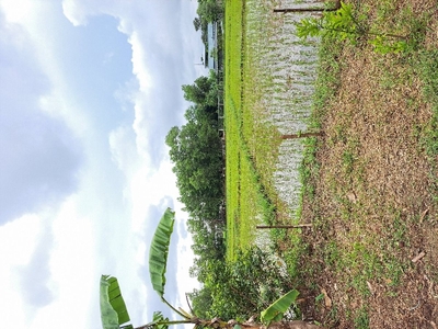 farming business land in the barrio of Cubag, Cabagan, Isabela