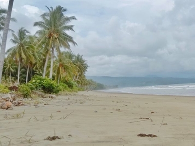 For Sale: 32,825 sqm Beach Lot Property in Maasin, Quezon, Palawan