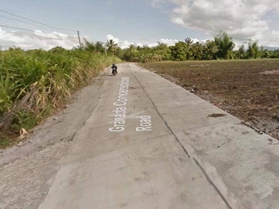 For Sale Lot in Bacolod - 3.2 Hectares