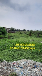 For Sale: 38,000 sqm Agricultural Land in Barangay Tukod, San Rafael, Bulacan