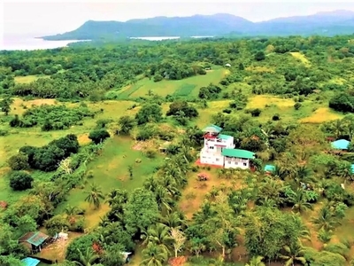 Titled Lot for Sale in Puerto Princesa, Palawan-9843sqm