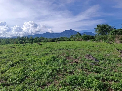 Million Dollar View Of Apo Island, Building Lots For Sale In Dauin