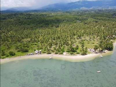 Prime Titled Beach Lot – Aramaywan, Quezon, Palawan (544 sqm)
