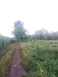 Residential Lot For Sale in Pinamaloy, Don Carlos, Bukidnon