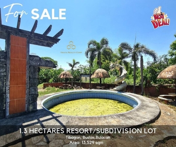 Rush Sale! 1.3+ Hectares Waterpark Resort Lot in Bustos City, Bulacan