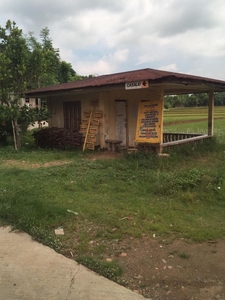 Raw land in Batangas (Taal Lake Front) for sale in Dalipit West, Cuenca