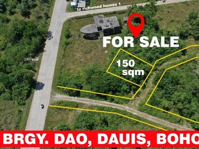 Lot For Sale In Dao, Dauis