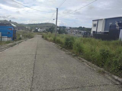Lot For Sale In Lawa-an, Roxas