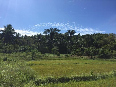 Lot For Sale In Tagusao, Quezon