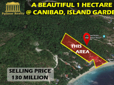 Property For Sale In Santo Nino, Island Of Garden Samal, Samal