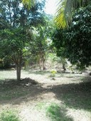9,600 sq mtr land for sale in iligan city