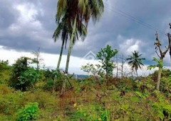 Affordable Subdivided Lot for Sale in Talisay City Cebu