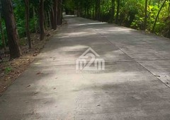 Affordable Subdivided Lot in Danao