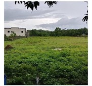 Industrial Lot for Sale Near Marilao Exit