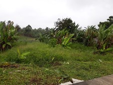 Lots for sale ! brgy. buho amadeo cavite