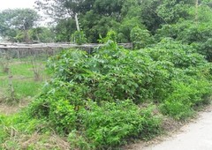 TARLAC CITY LOT FOR SALE