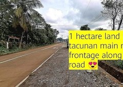 1 hectare land for Sale in Tacunan, Davao City