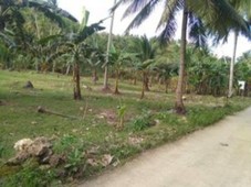 Residential lot or farm - Catmon Cebu