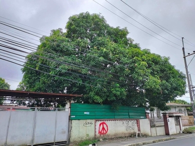 Lot For Rent In Novaliches, Quezon City