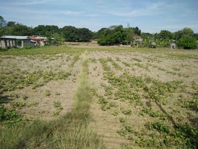 Lot For Sale In Sapang, Manaoag