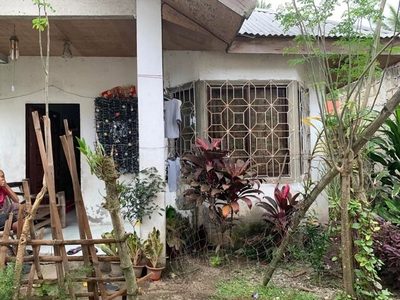 House For Sale In Mangnao-canal, Dumaguete