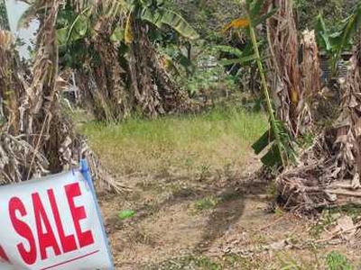 Lot For Sale In Molino Iii, Bacoor