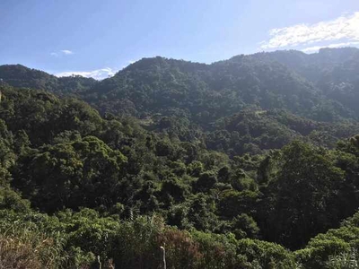 Lot For Sale In Sablan, Benguet