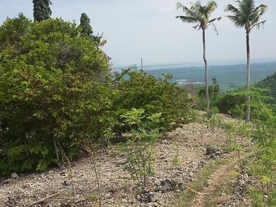 Residential Lot for sale in San Carlos