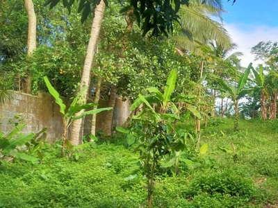 Lot for Investment and Retirement for Sale in Cavite