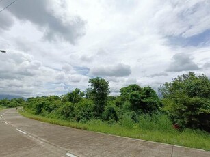 Lot For Sale In Cabacao, Abra De Ilog