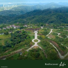 Lot For Sale In Cansomoroy, Balamban