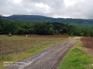 Lot For Sale In Maligaya, Lubang